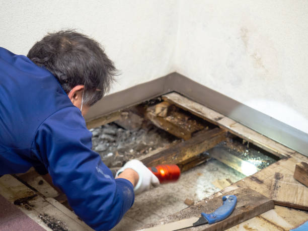 Water Damage Restoration in Capron, IL