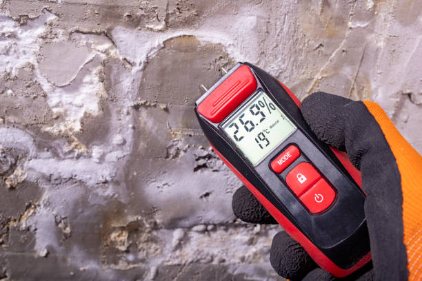 Best Mold Testing  in Capron, IL