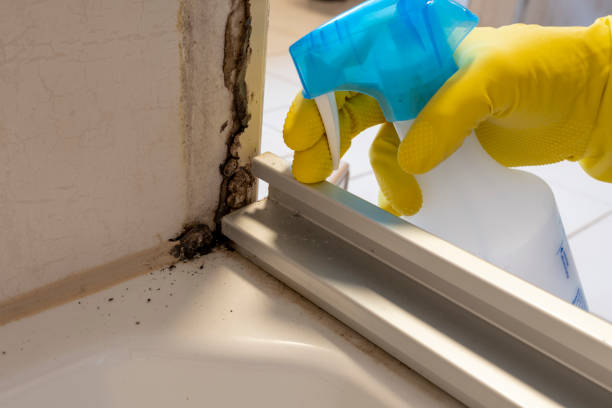 Best Crawl Space Mold Removal  in Capron, IL