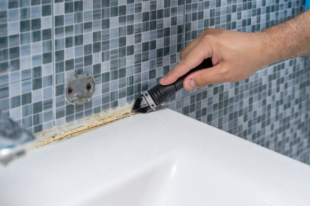 Best Mold Cleaning Services  in Capron, IL